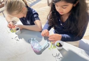 Elementary Student Looking For Tortoise