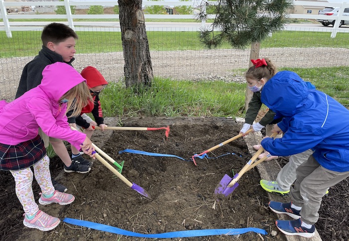 Getting Kids Involved in the Garden