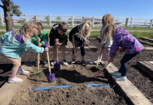 Pre-K Students Helping in the Garden