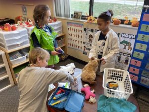 Job Fair Veterinarian