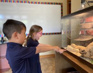 Students pointing at bearded dragon